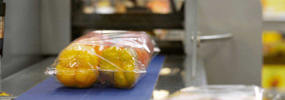 Packed fresh yellow bell peppers on a conveyor belt in a cold chain food processing facility, ready for temperature-controlled logistics.